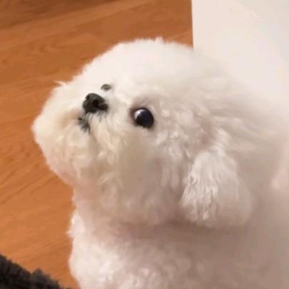 潘少很爱玩