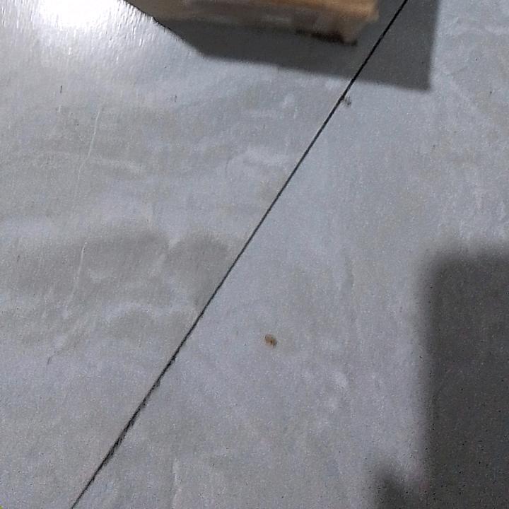 ！！！！，，，，