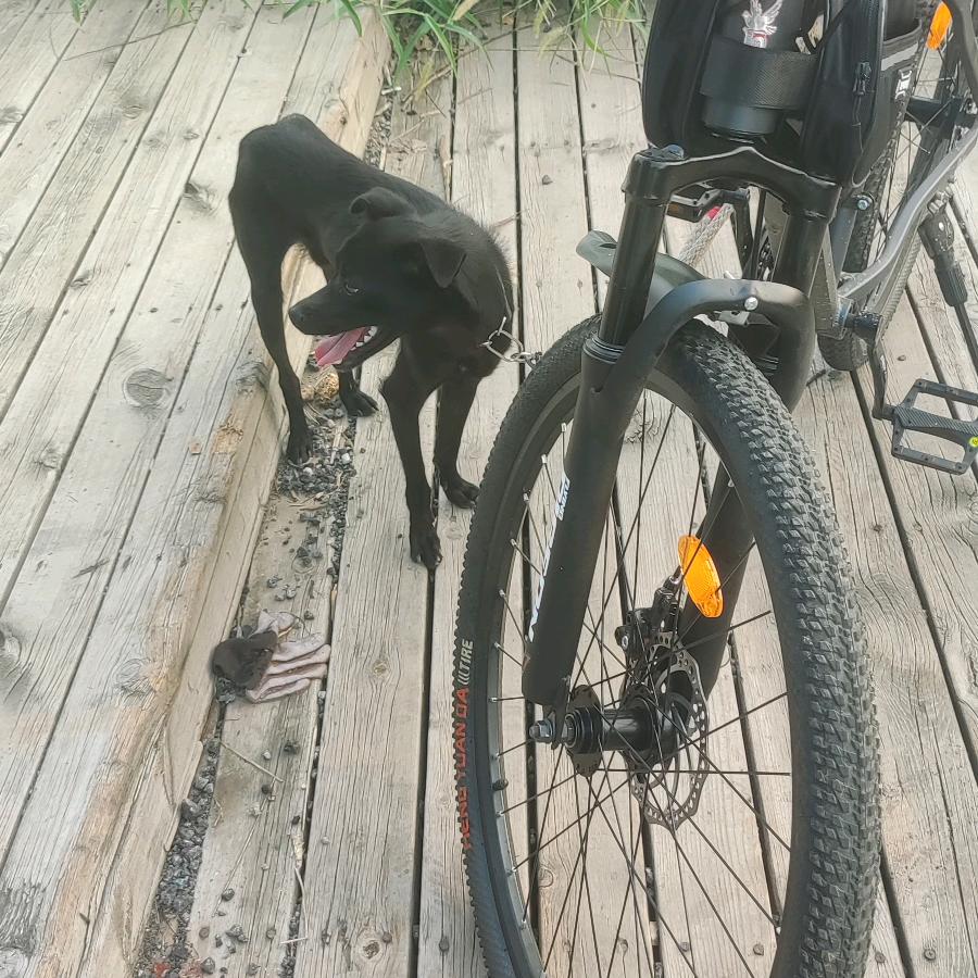 ༺༃怓ガ萿著♒