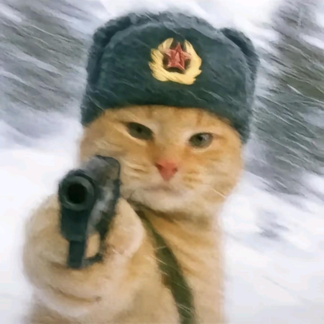 一个何包蛋