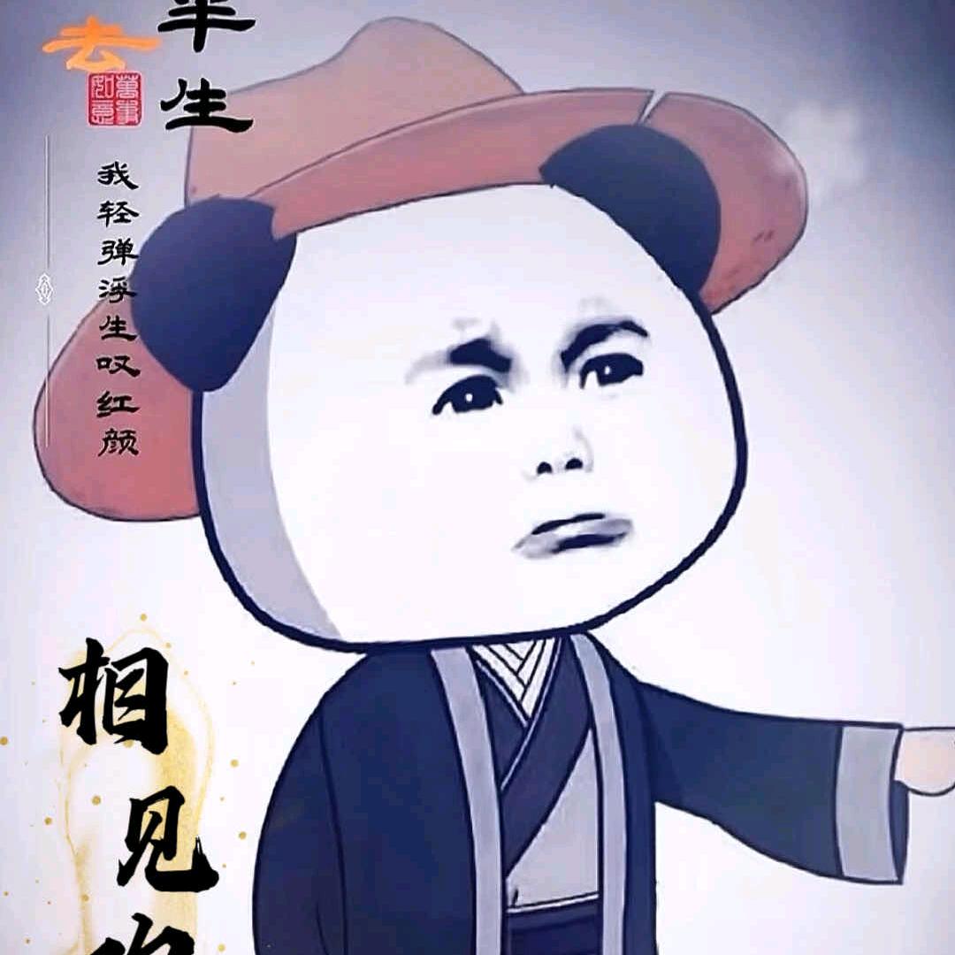 孤独的双子