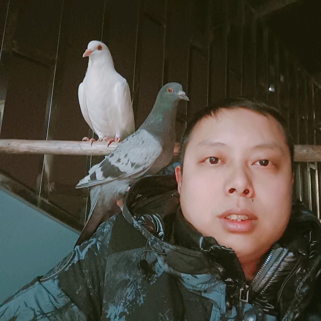 渣渣辉⊙﹏⊙