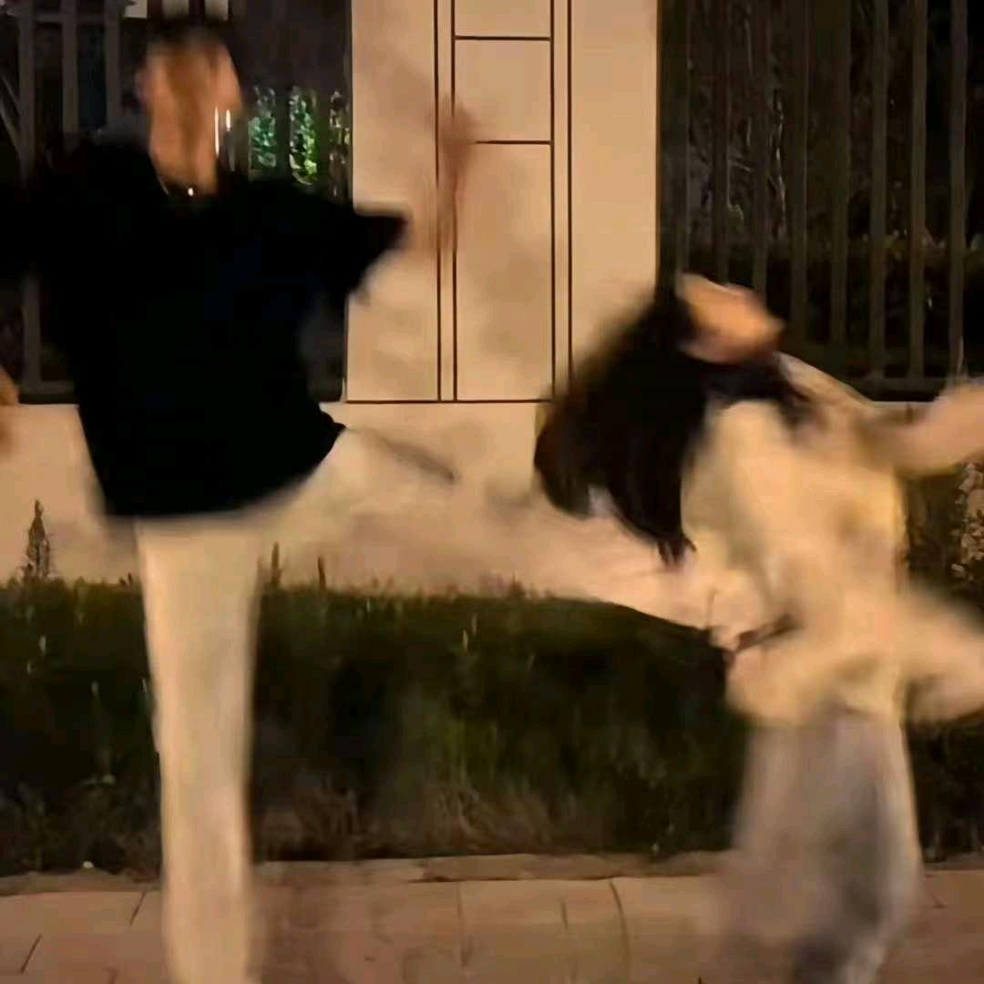 白日.