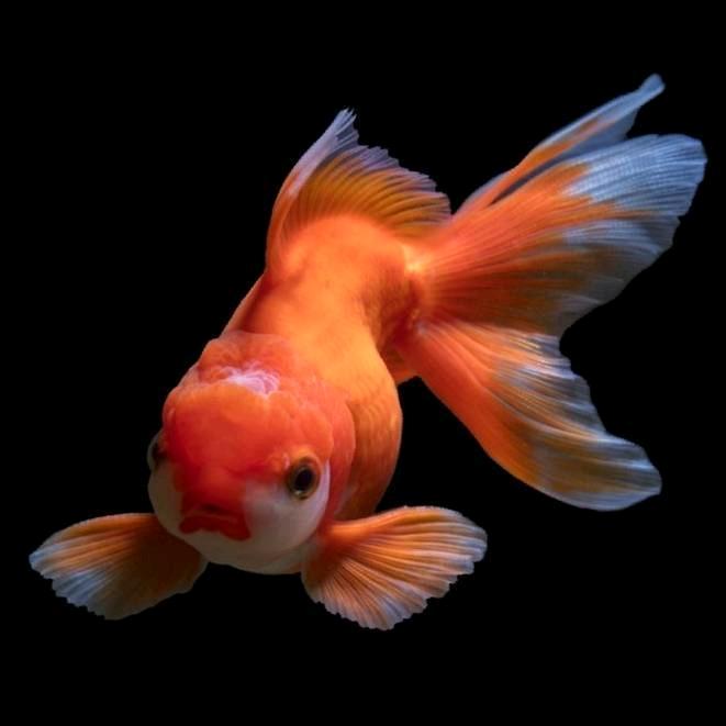 赣州苏锦贸易有限公司小刘