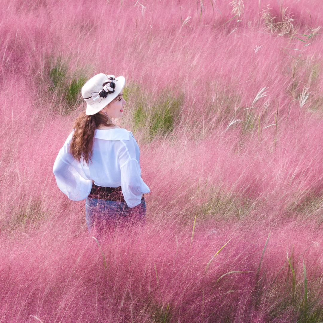 百花争艳