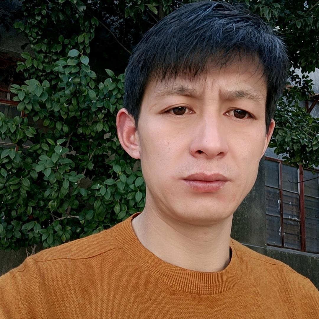 风是雨的陪伴