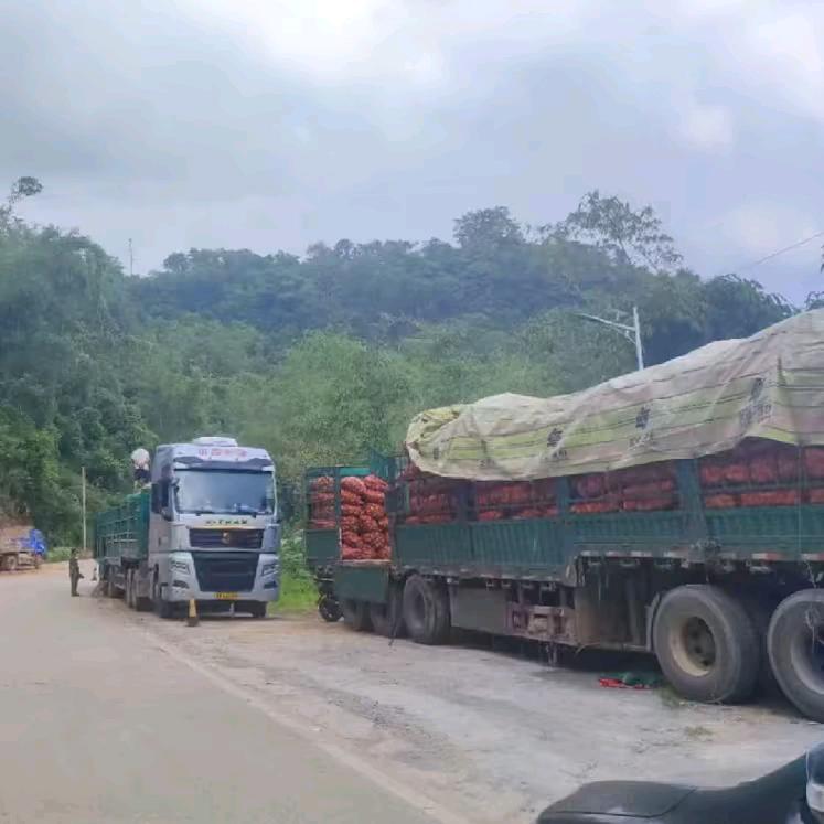 鲜果乐园–小李