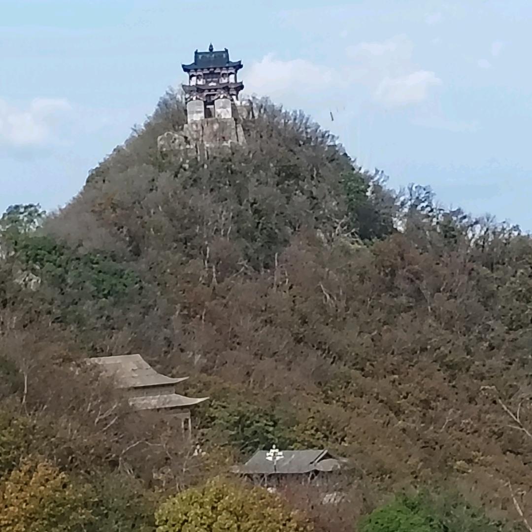 王禹