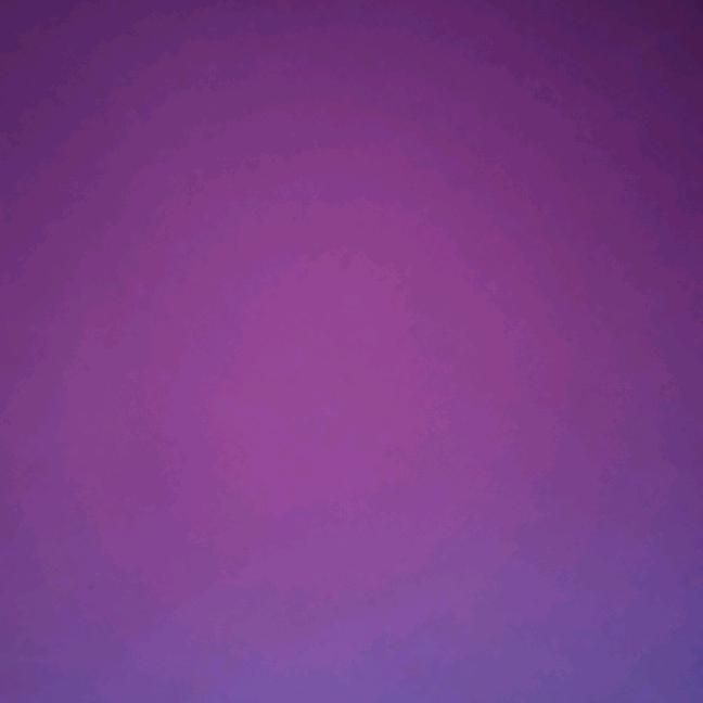 心在阳光下