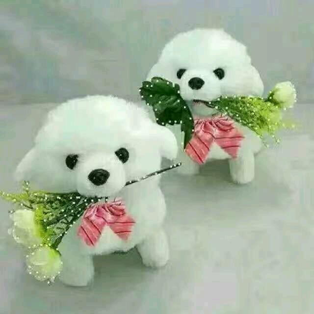 开心就好(✪▽✪)