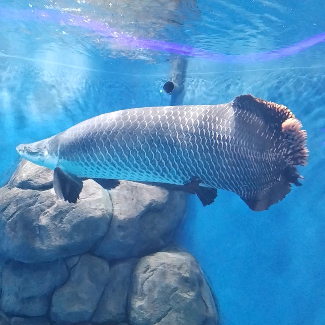 食唯美