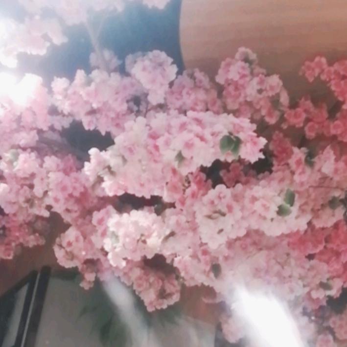 有谁来帮帮我