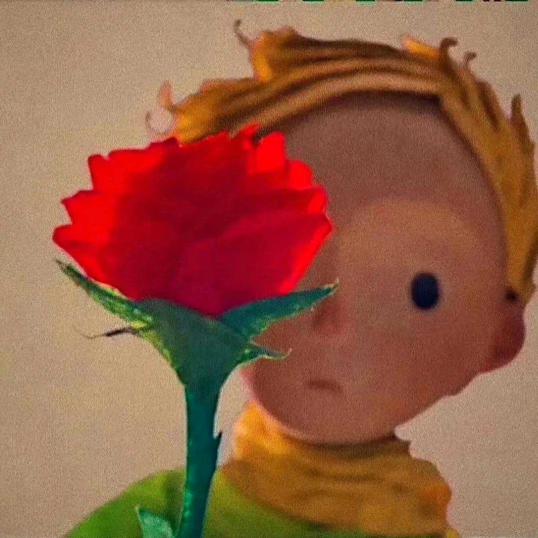 宋你一朵小红花🌺