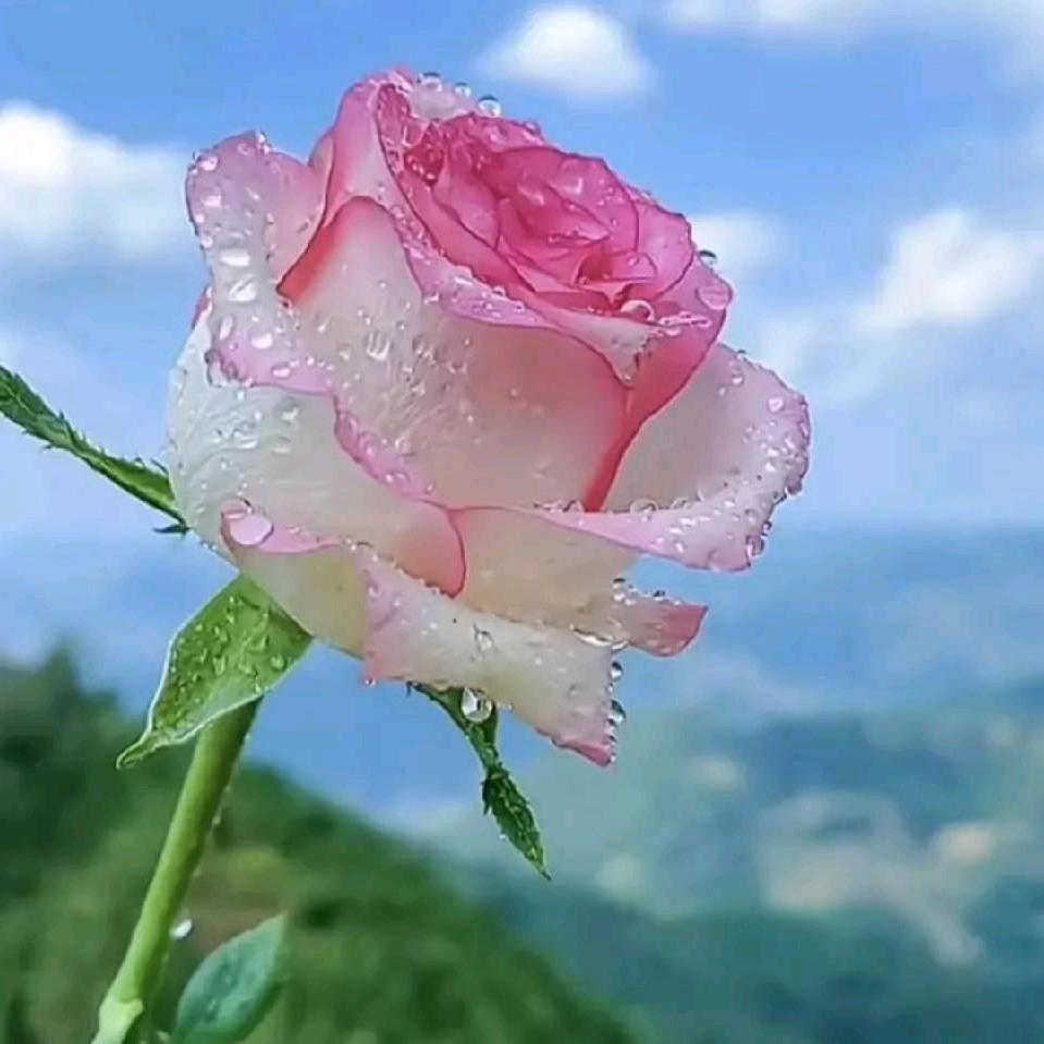 ོ҉ 时光安然🌸࿐