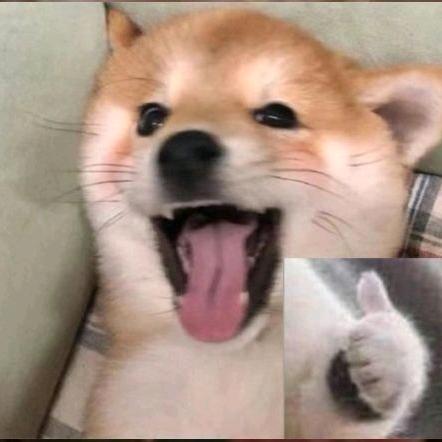 靈龍