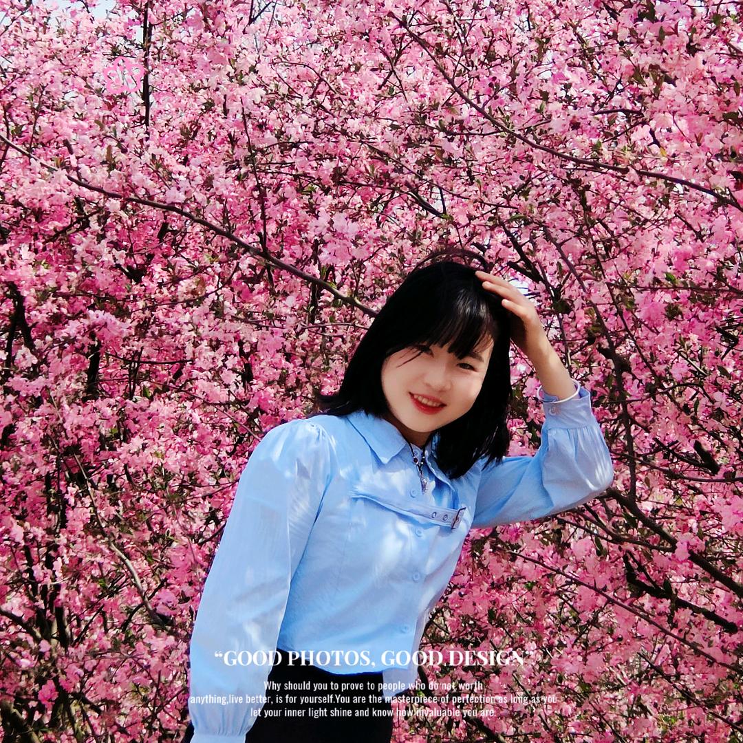 小木鱼🐠