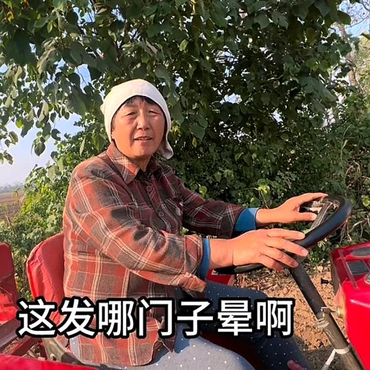 张妞妞妈