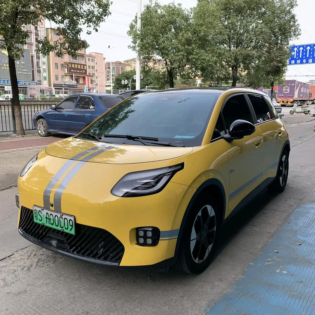 埃安汽车的宋宋～大岭山店