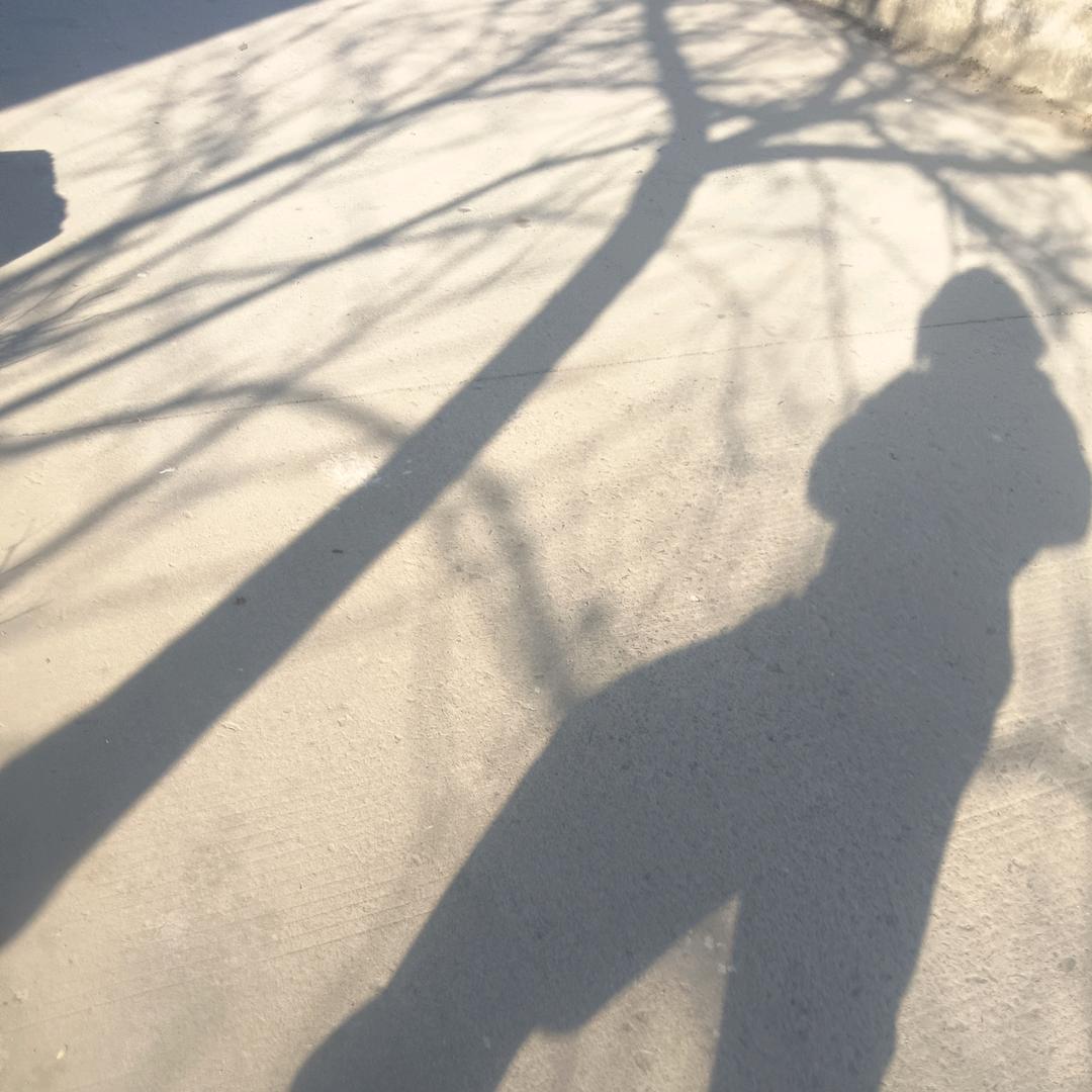 陆晚瑜