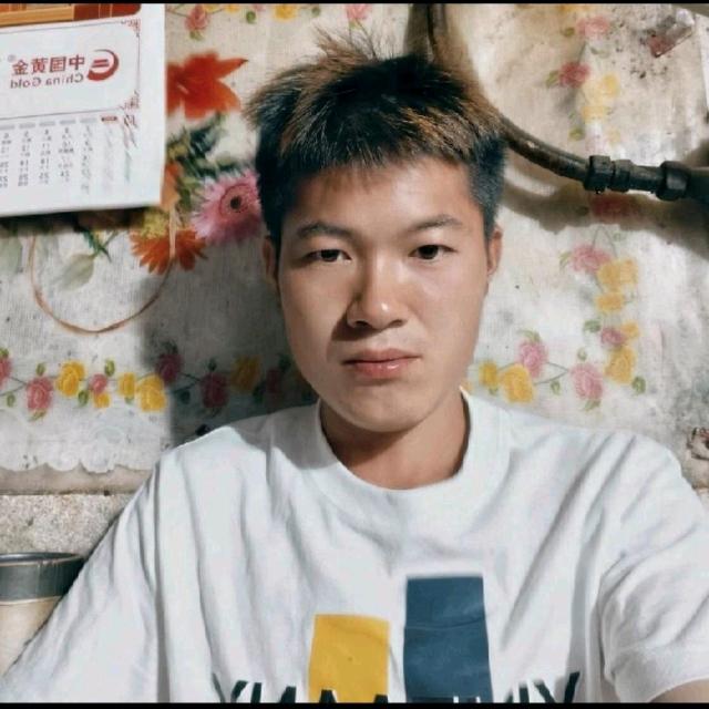 速度与激情10