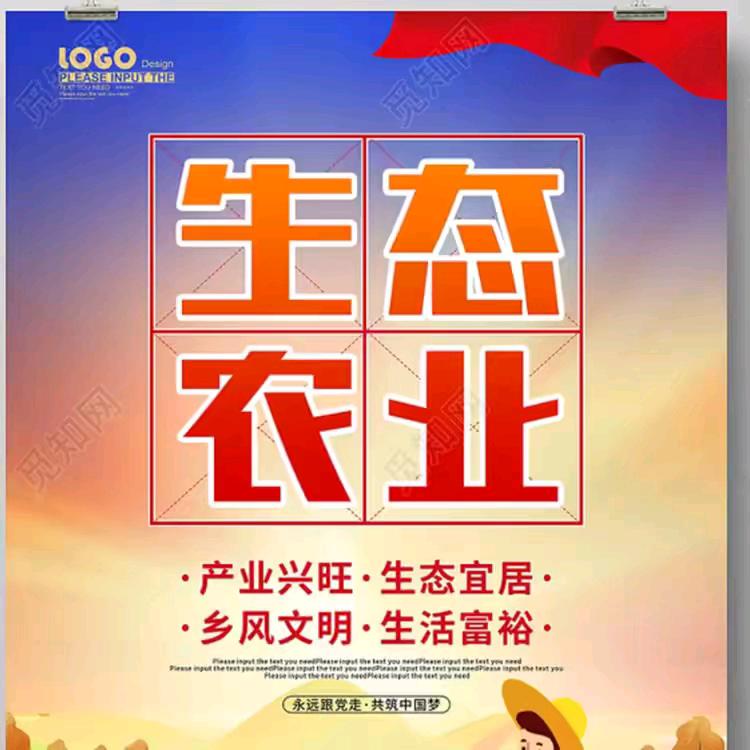 记录我的农村创业生活，
