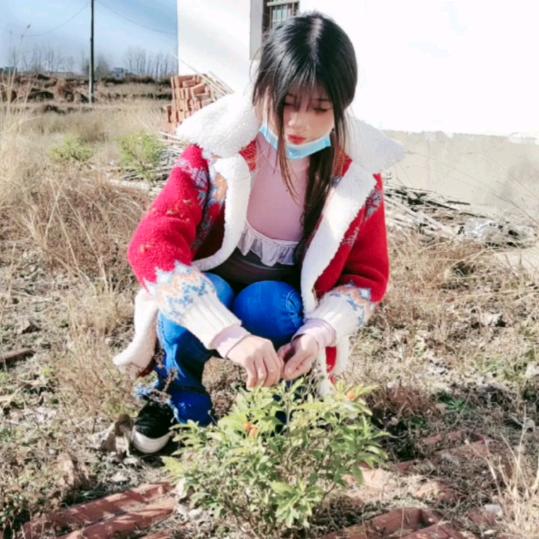 锡丫头吖