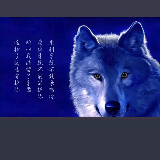 人间有爱，世界有光