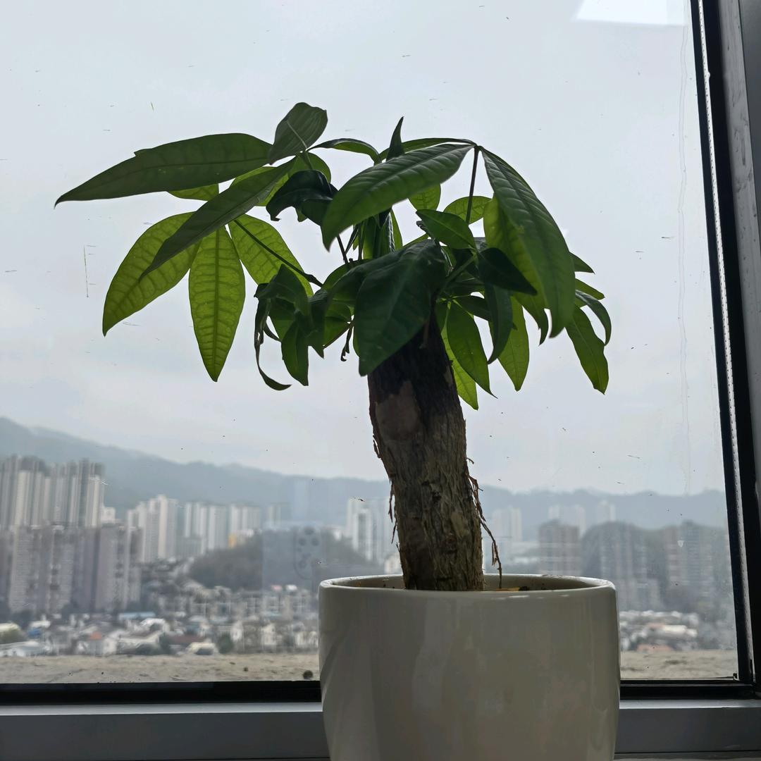 脊柱小董爱跳绳🇨🇳