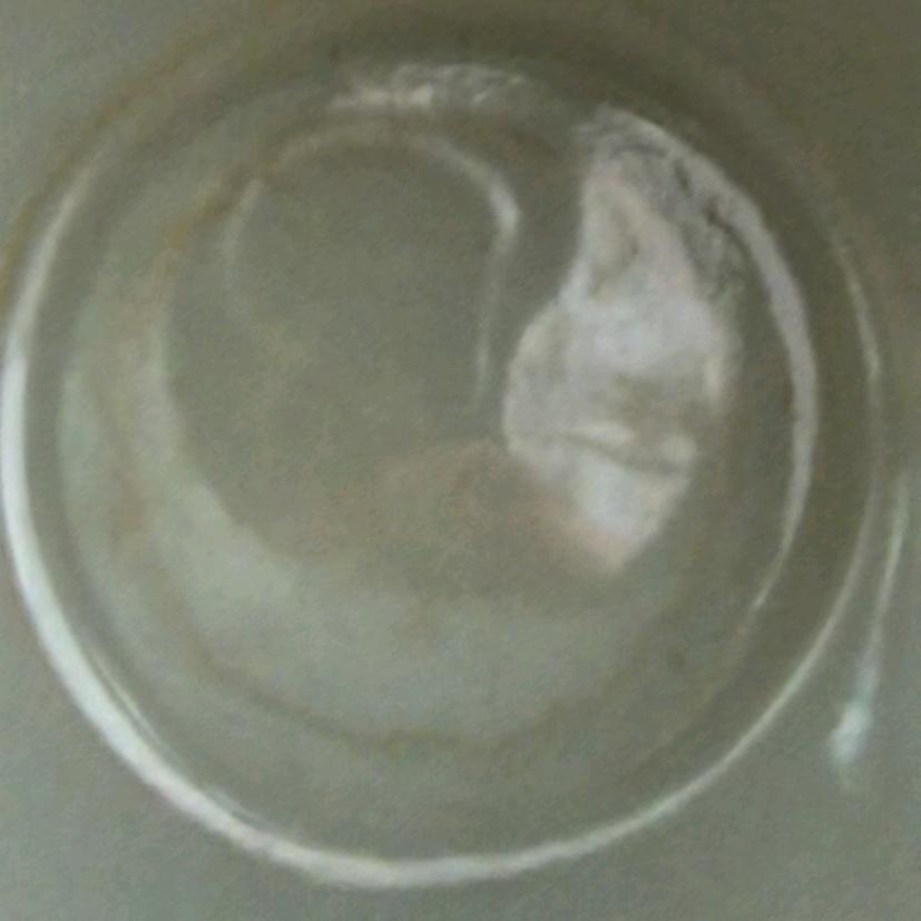 豆子商贸