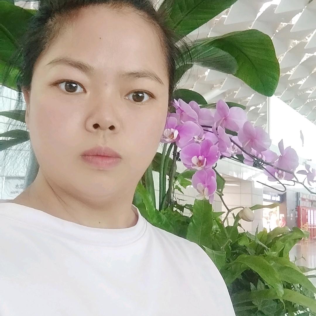 首播  小英