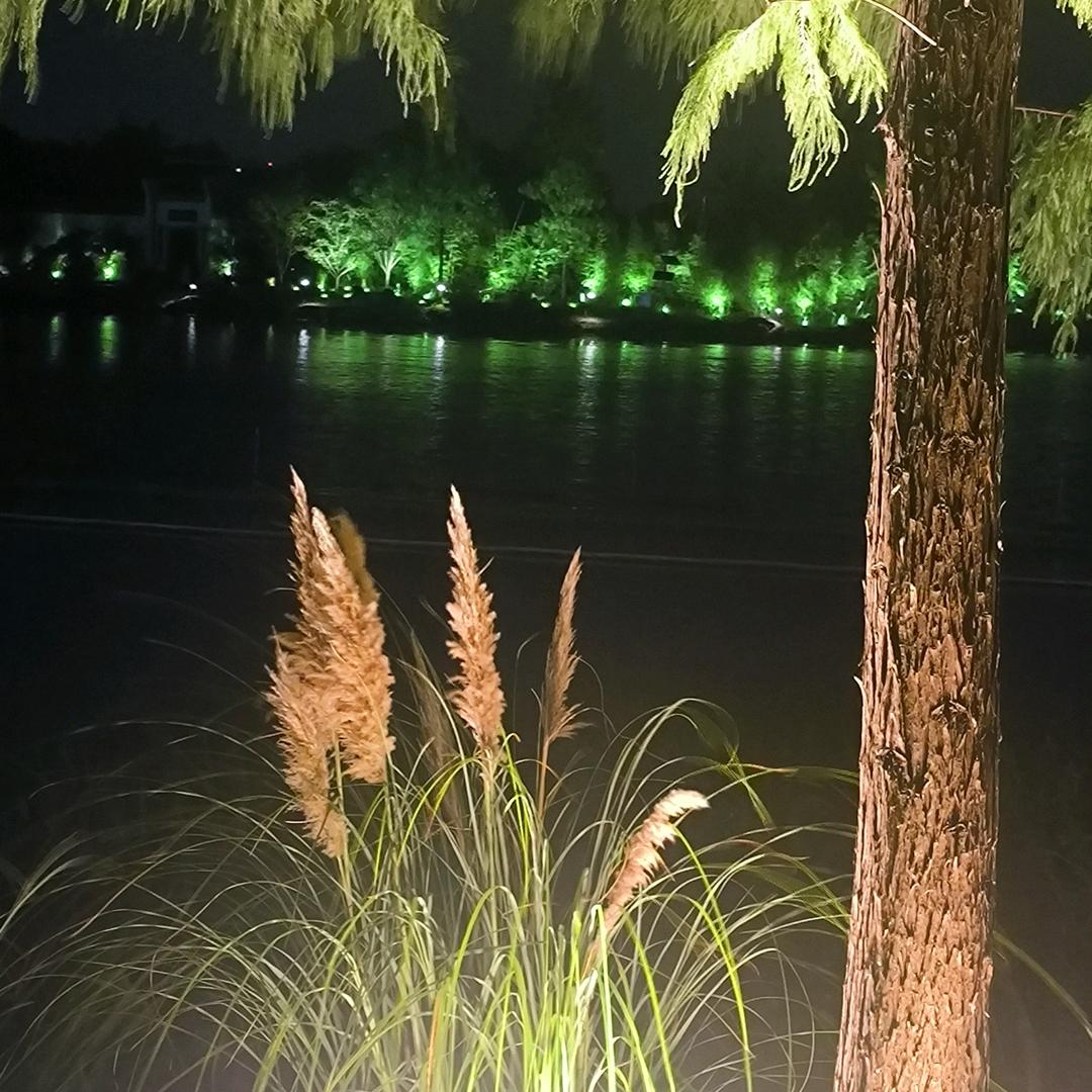 拥抱每个起舞的日子