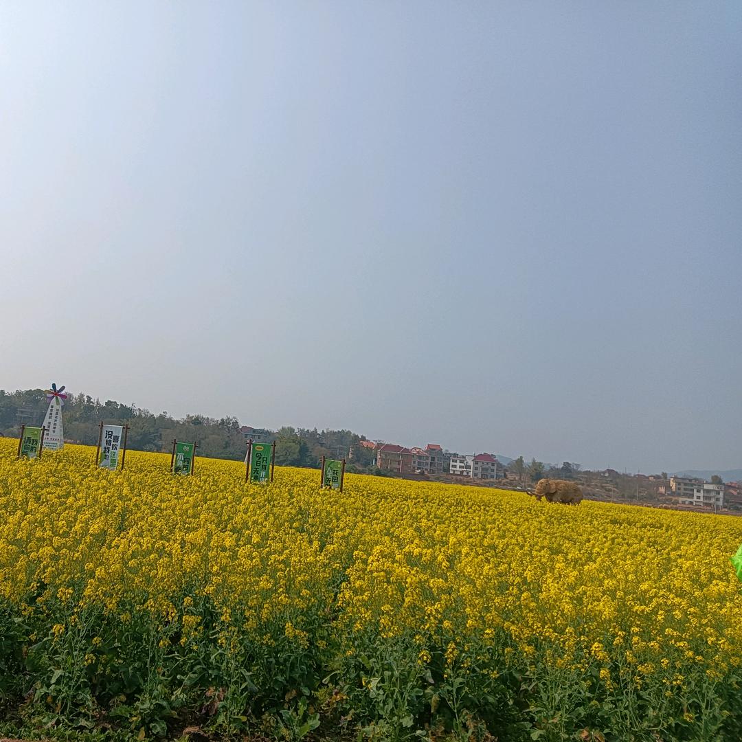多宝