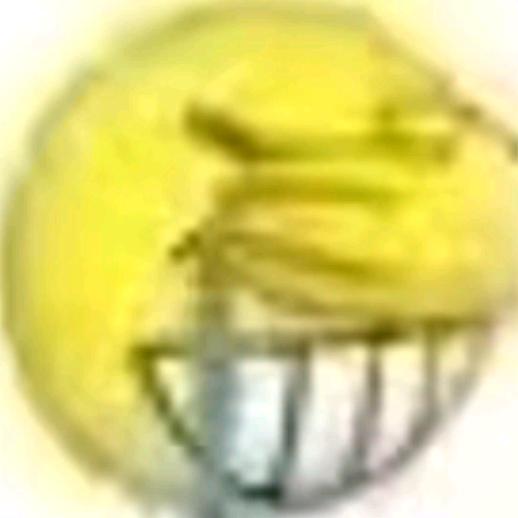 鼠鼠大王