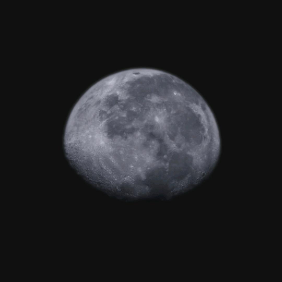 我是杠精特别杠