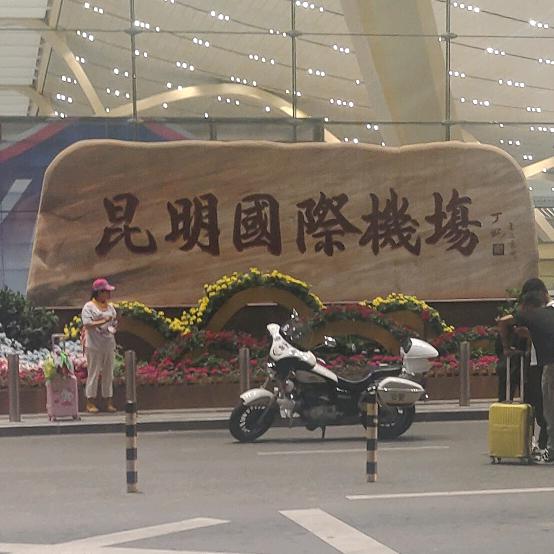 鱼的记忆