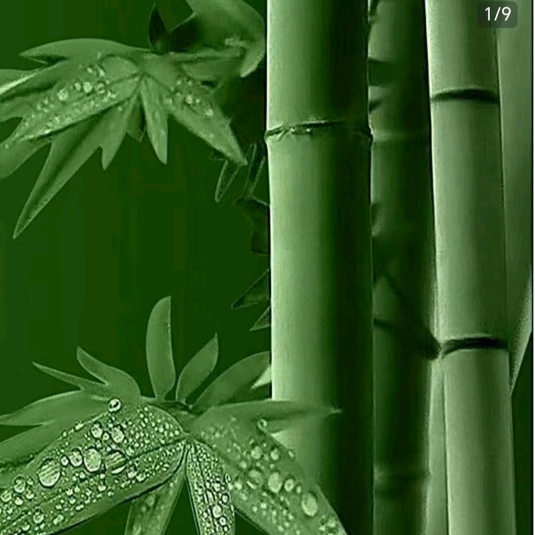 黄婆不卖瓜