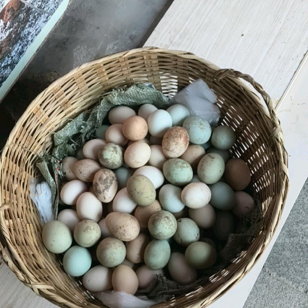 黄家丫头