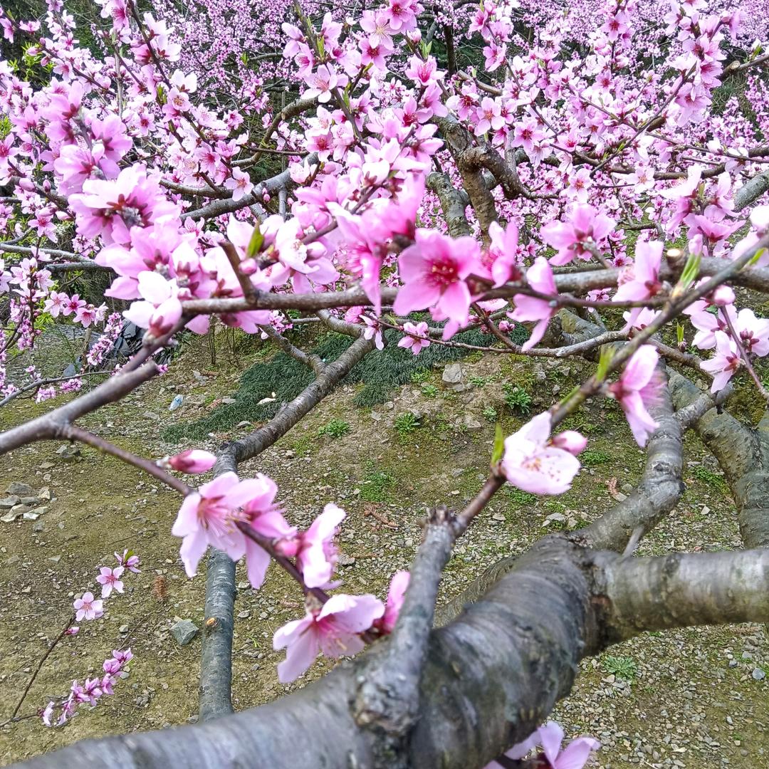 丈汗琳漓