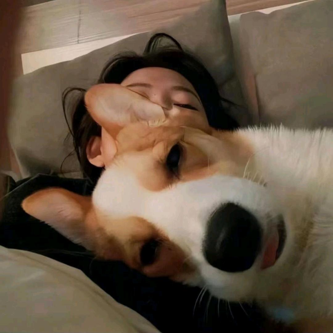 朕在深夜独批奏折