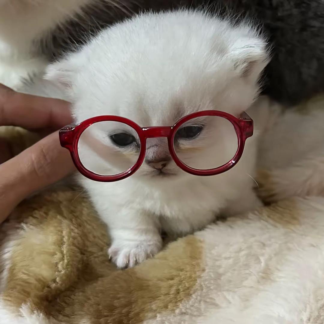 未眠