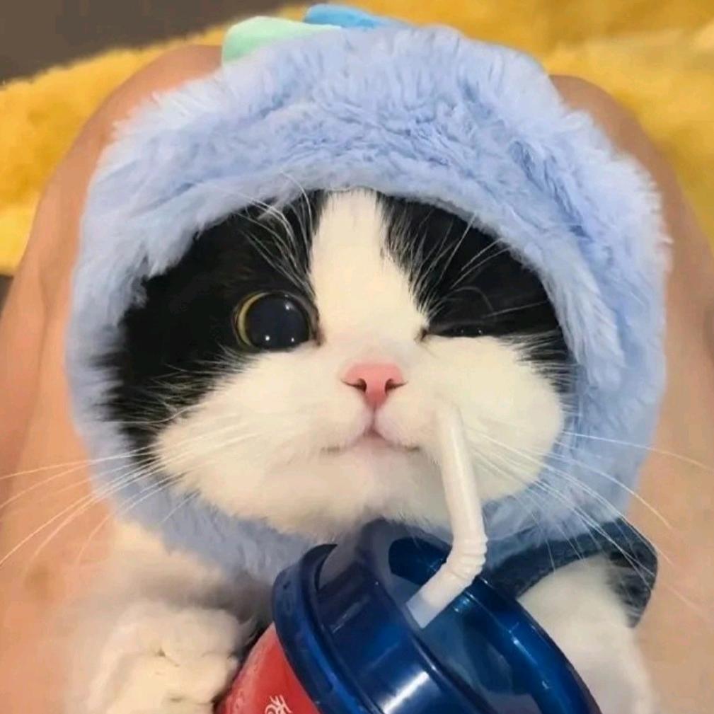 七七八八随心配（退坑版）