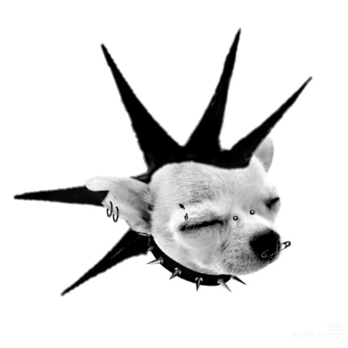 洗洁靖