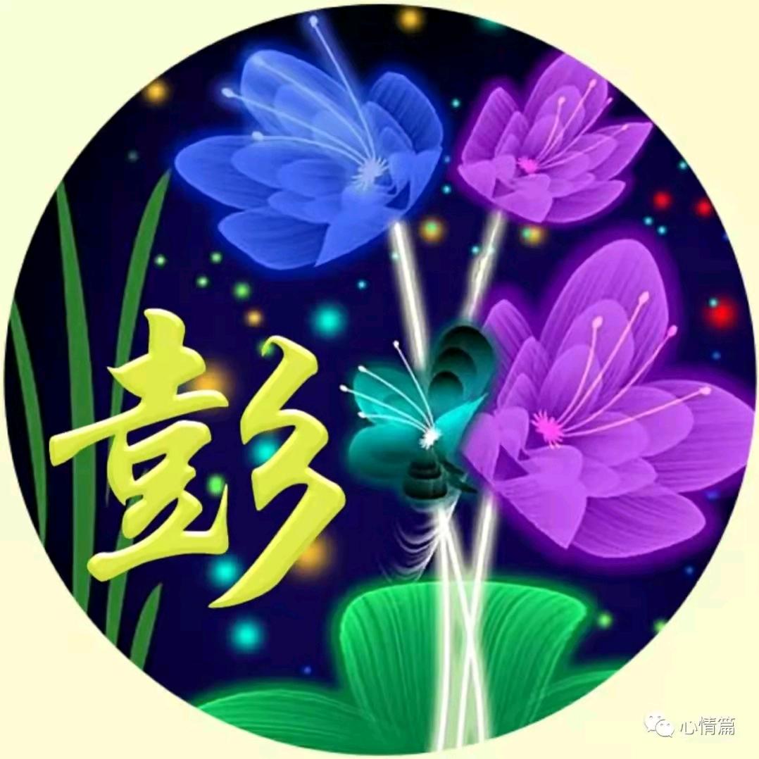 诚信└（★ｏ★）┐相彭