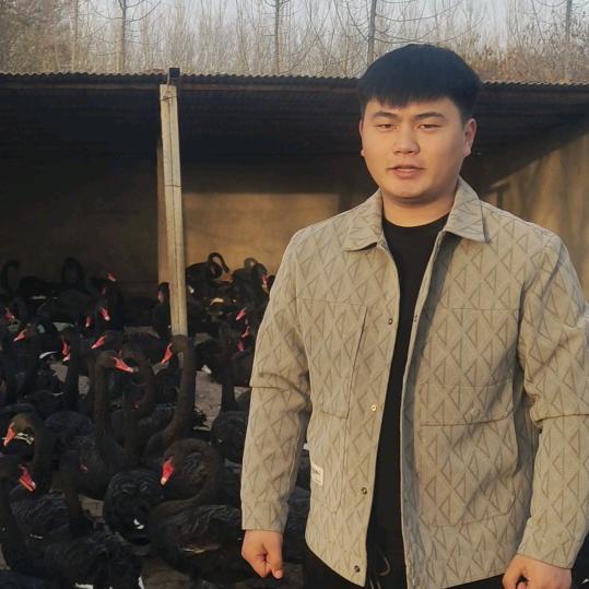 济宁冠鼎畜禽养殖有限公司