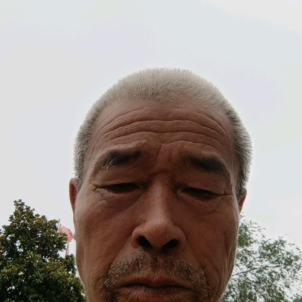丿