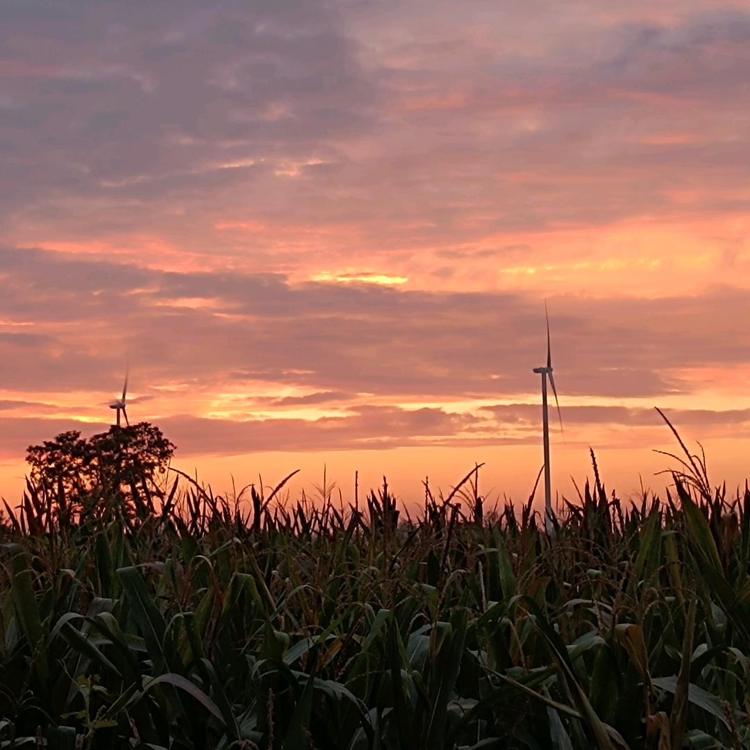 💕小謎ঞᩚ糊꧔ꦿ