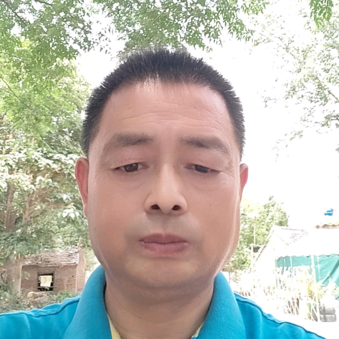 老杨讲猪事
