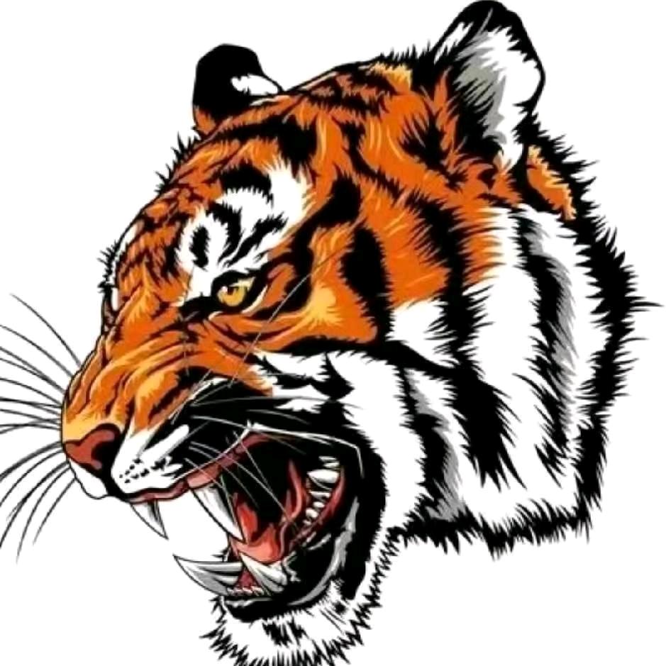 🌒✨浮生若梦💤   🔱🔥🔥🔥