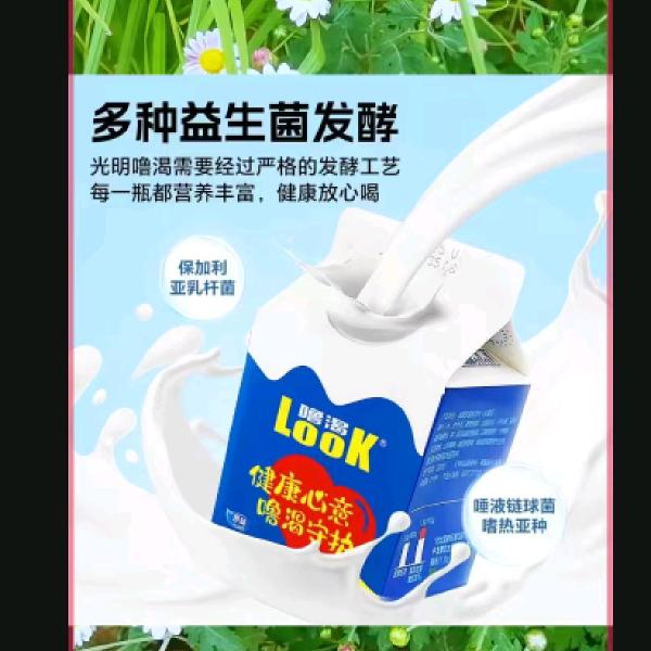 光明LooK酸奶全国总仓🌹
