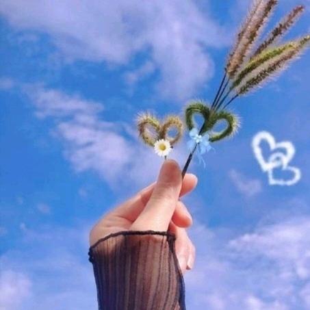 এ᭄青柠ོꦿృ༊